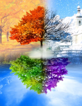 Без бренда «2KLB-6100» в Чите