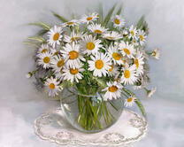 Без бренда «2KMA-0021» в Чите