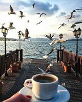 Без бренда «2KMB-1952» в Чите