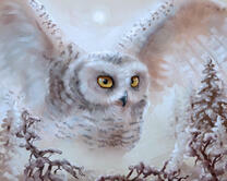 Без бренда «2KMB-3848» в Чите