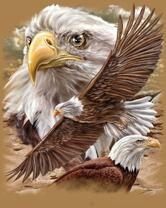 Без бренда «2KMB-4315» в Чите