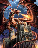 Без бренда «Дракон огня и молний» в Чите