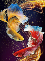 Без бренда «Желтая и красная рыбки» в Чите