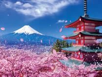 Без бренда «2KSB-7277» в Чите