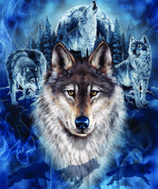 Без бренда «2KXSB-0687» в Чите