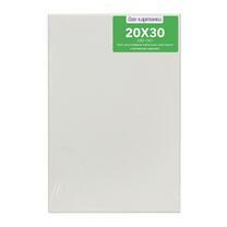 Без бренда «Коробка 80 шт.: Холст Две картинки на подрамнике 20X30» в Чите