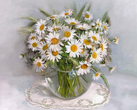 Без бренда «BOX20-2KMA-0021» в Чите