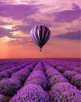 Без бренда «Фиолетовый воздушный шар над фиолетовым лавандовым полем (20шт)» в Чите