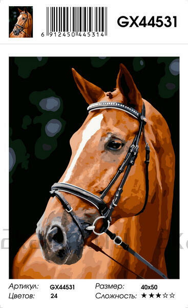 Картина по номерам 40x50 Рыжий конь
