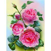 Без бренда «Куст с тремя розами и закрытыми бутонами» в Чите в интернет-магазине Без бренда «Куст с тремя розами и закрытыми бутонами» в Чите