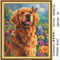 Без бренда «HWA6726» в Чите