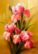 Розовые ирисы