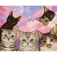 Без бренда «Такие разные котики» в Чите