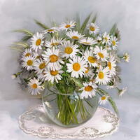 Без бренда «Букет свежих ромашек» в Чите в интернет-магазине  Без бренда «Букет свежих ромашек» в Чите