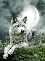 Без бренда «Коробка 25 шт. картин по номерам BOX25-GX21058» в Чите