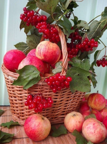 Без бренда «Коробка 25 шт. картин по номерам BOX25-GX5174» в Чите