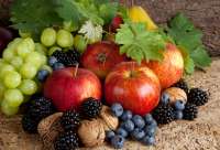 Без бренда «Фрукты, ягоды и орехи» в Чите