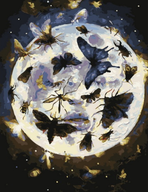Картина по номерам 40x50 Светящаяся сфера с насекомыми