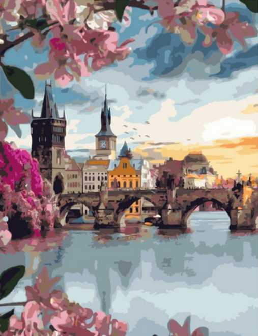 Картина по номерам 40x50 Вид на средневековый мост в Праге