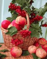 Без бренда «Плетёная корзина с калиной и яблоками» в Чите