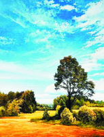 Без бренда «Осенний пейзаж с голубым небом» в Чите в интернет-магазине  Без бренда «Осенний пейзаж с голубым небом» в Чите