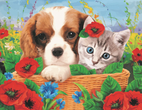 Щенок с котёнком в корзине среди маков