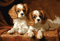 Два щеночка спаниеля