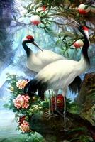 Без бренда «Коробка 25 шт. картин по номерам BOX25-GX29399» в Чите в интернет-магазине  Без бренда «Коробка 25 шт. картин по номерам BOX25-GX29399» в Чите