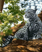 Серый леопард на ветви